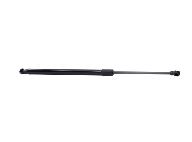 RIDEX 219G0060 Amortiguador de maletero