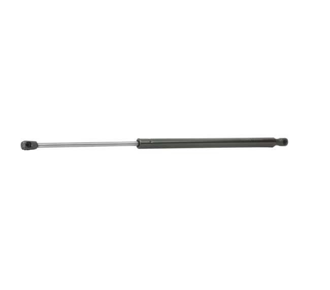 RIDEX 219G0164 Gasveren voor achterklep Renault Espace 3 2.0 114 Pk Benzine prijs