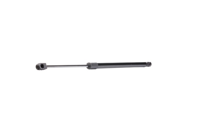 RIDEX 219G0167 Gasveer achterklep
