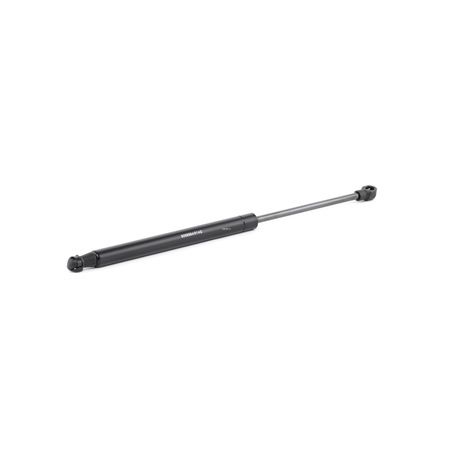 RIDEX 514G0018 Gasveer motorkap