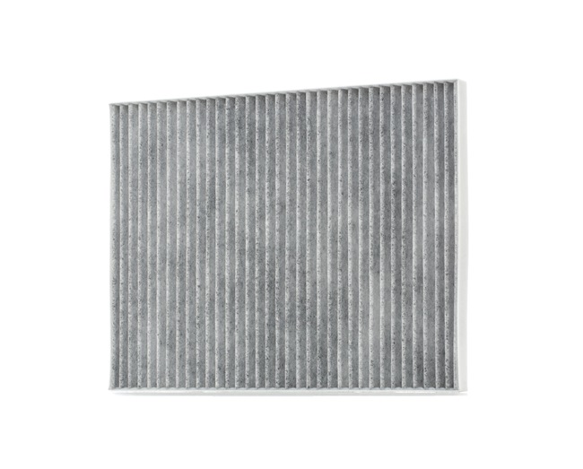 Pollenfilter 424I0201 RIDEX 6 31 916 OPEL