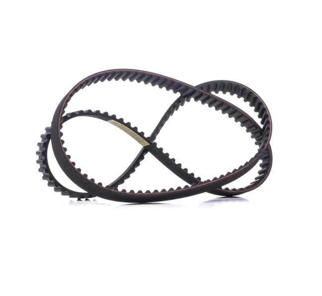 RIDEX 306T0042 Kamrem