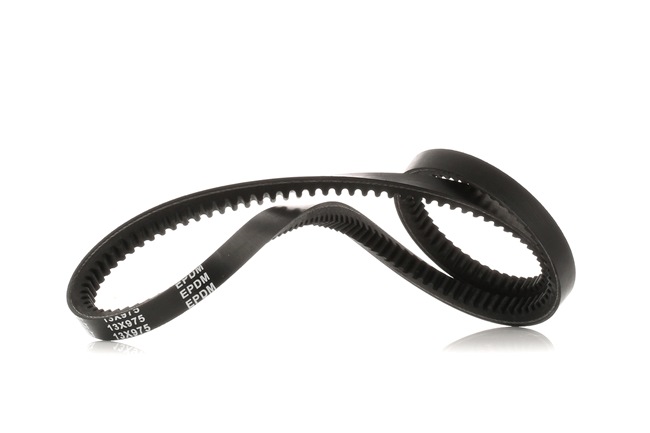 V-riem 10C0037 RIDEX 12 08 014 Volkswagen
