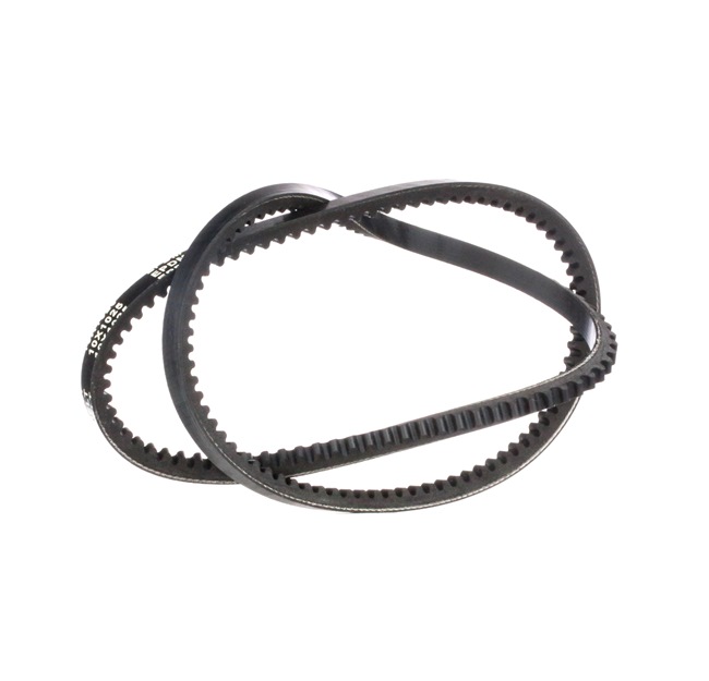 Correa trapezoidal 10C0022 RIDEX 2400 E862 0A Volkswagen