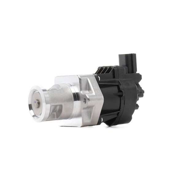 1145E0066 RIDEX SUZUKI AGR Ventil