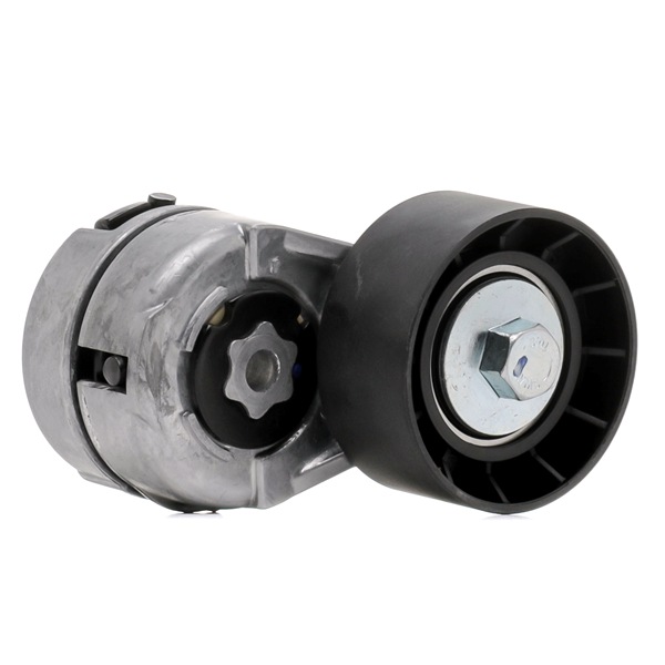 Rullo tenditore cinghia Poly-V 310T0035 RIDEX 7 798 333 FIAT