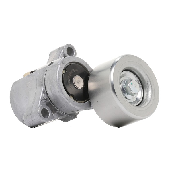 310T0051 Pingutusrull RIDEX MAZDA BT-50