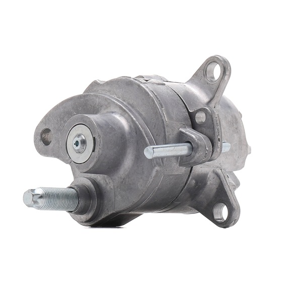 RIDEX 541V0008 Hihnankiristin, moniurahihna