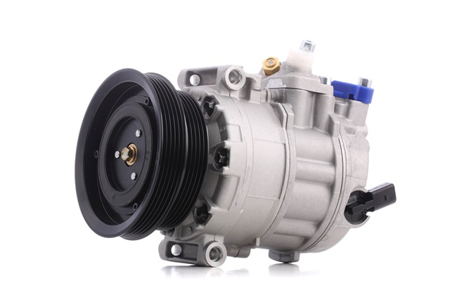 RIDEX 447K0050 Aircopomp