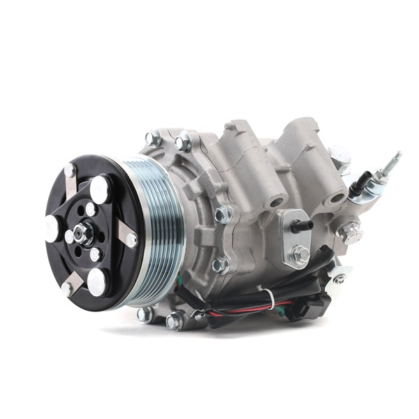 RIDEX 447K0073 Aircopomp