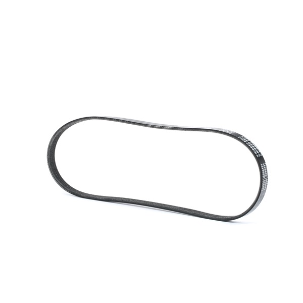Multiriem 305P0017 RIDEX 13 40 640 BMW