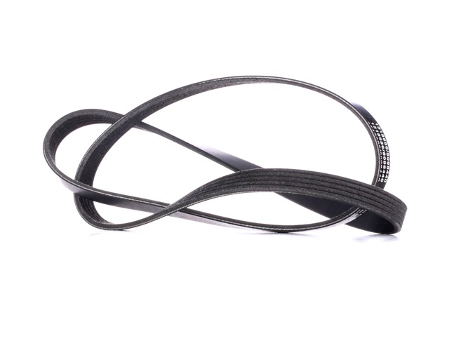 RIDEX 305P0039 Ozubený klinový remeň