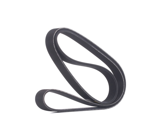 Correa trapecial poli V 305P0067 RIDEX 93 190 605 Volkswagen