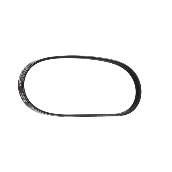 RIDEX 305P0166 Courroie d'alternateur Fiat Punto 176 1.2 75 73 CV Essence 1999