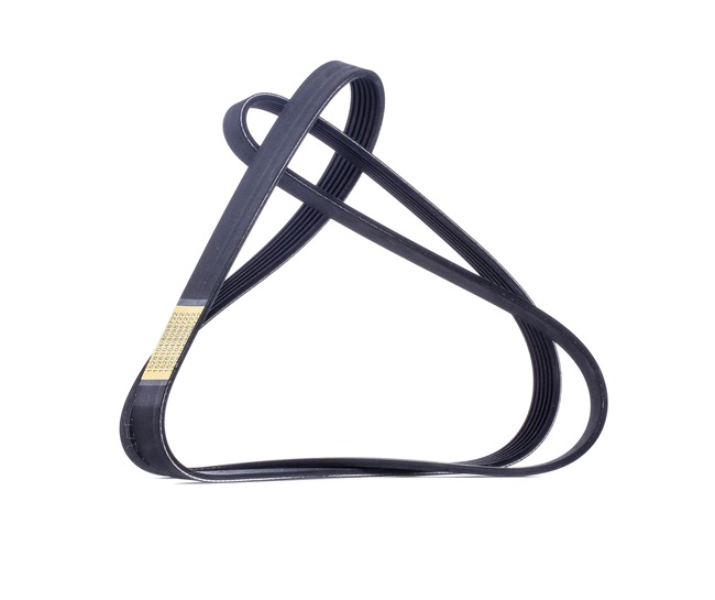 Multiriem 305P0287 RIDEX 03F 260 849 A VW
