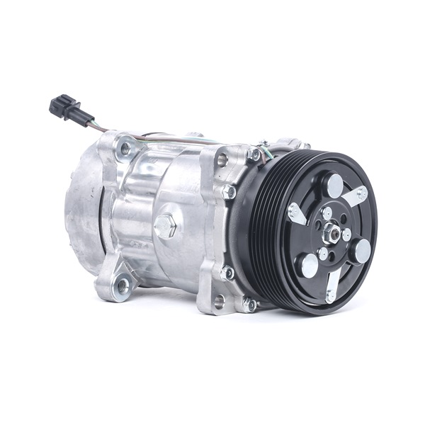 RIDEX 447K0199 Aircopomp