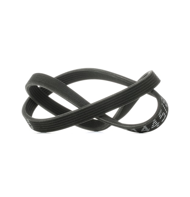 RIDEX 305P0153 Rillenriemen VW T5 1.9 TDI 105 PS Diesel Kosten