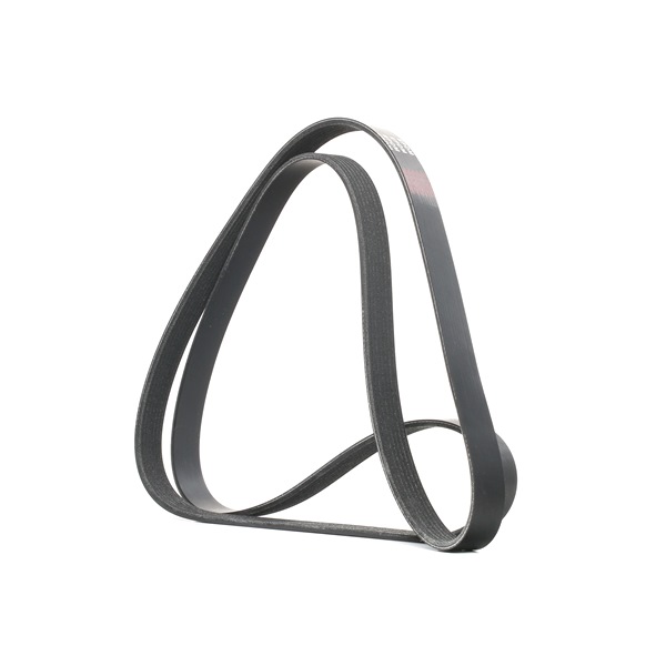 Correa trapecial poli V 305P0246 RIDEX ERR 4461 FORD