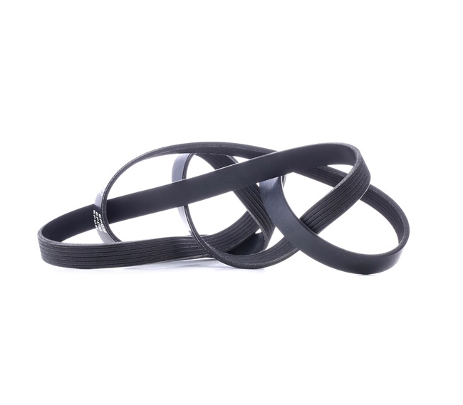 RIDEX 305P0223 Multirem
