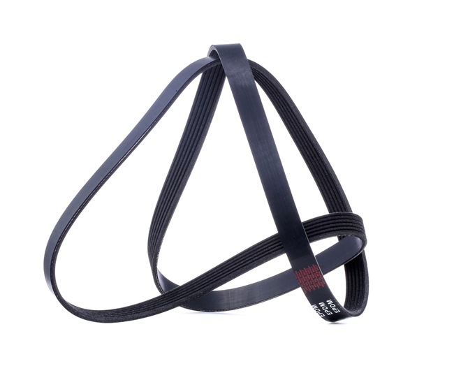 Keilrippenriemen 305P0080 RIDEX 6PK1675 VW