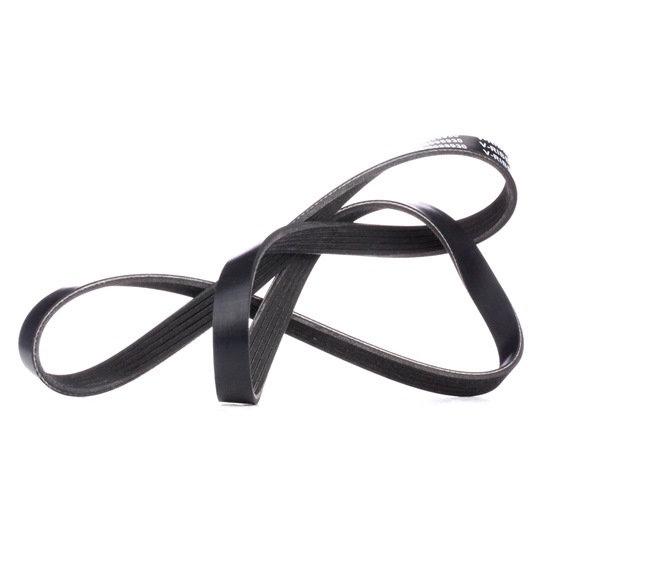 RIDEX 305P0213 Correa trapecial poli V