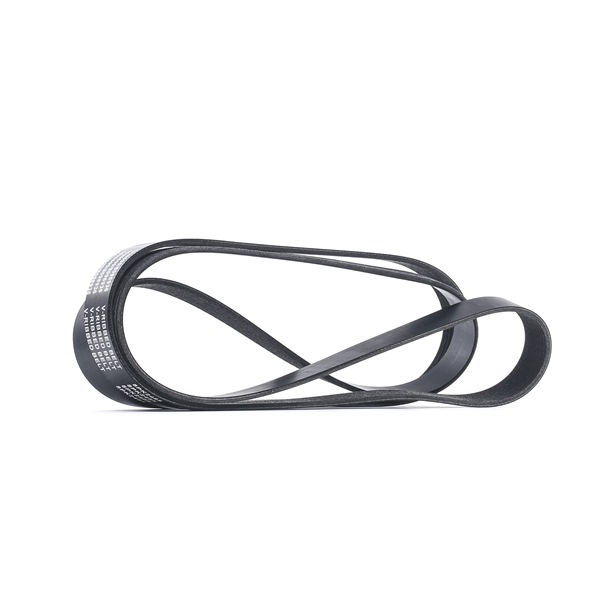 RIDEX 305P0318 Cinghia servizi