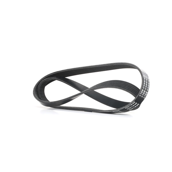 RIDEX 305P0151 Cinghia servizi
