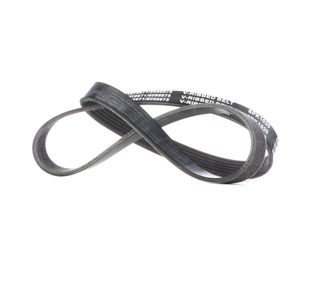 RIDEX 305P0291 Courroie d'accessoire CITROËN C4 II Van / 3/5 portes (NC_) 1.6 HDi 92 CV Diesel 2024
