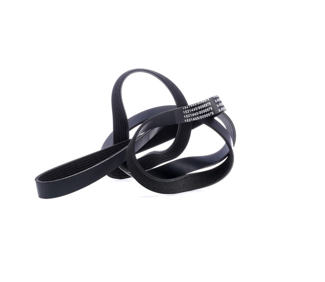 Courroie Poly-V 305P0229 RIDEX PQR500320 MERCEDES-BENZ