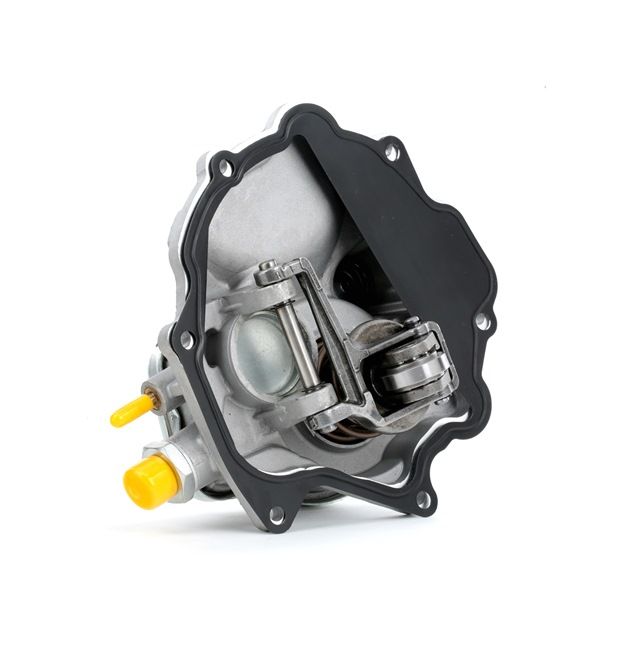 Pompe à vide de freinage 387V0006 RIDEX 000 230 30 65 MERCEDES-BENZ
