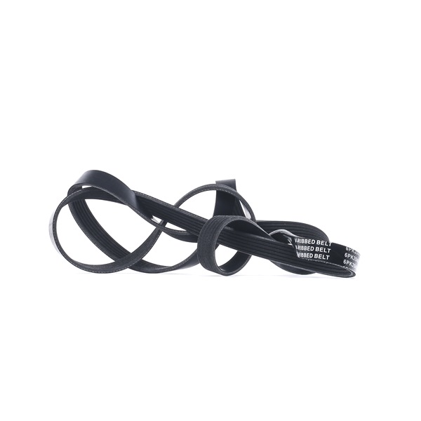 RIDEX 305P0180 Keilrippenriemen VAUXHALL Frontera Mk2 (B) SUV (U99) 3.2 i 205 PS Benzin Kosten