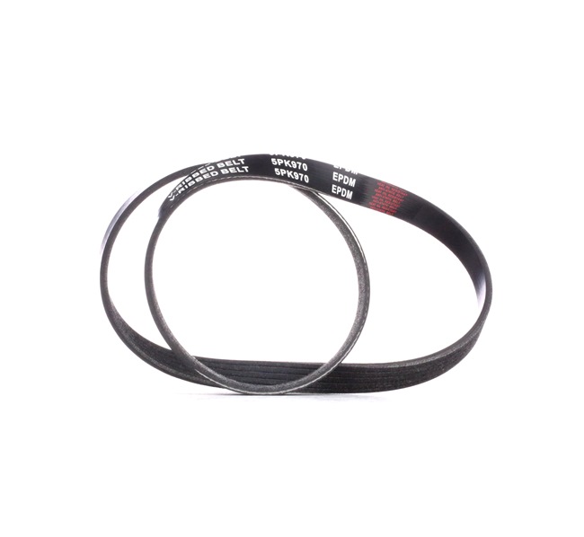 Multiriem 305P0369 RIDEX 5750 79 VW