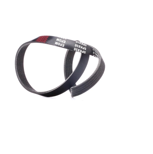 RIDEX 305P0197 Moniurahihna