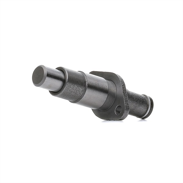 RIDEX 571T0012 Tendeur, chaîne de distribution