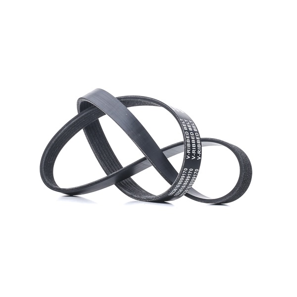 Multiriem 305P0334 RIDEX 96 144 511 VW