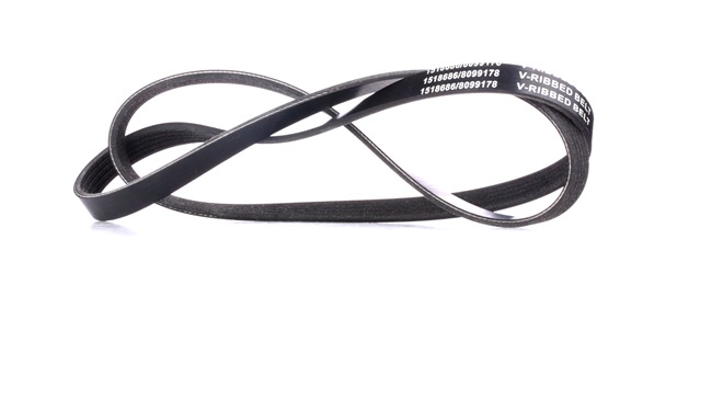 RIDEX 305P0211 Multiriem