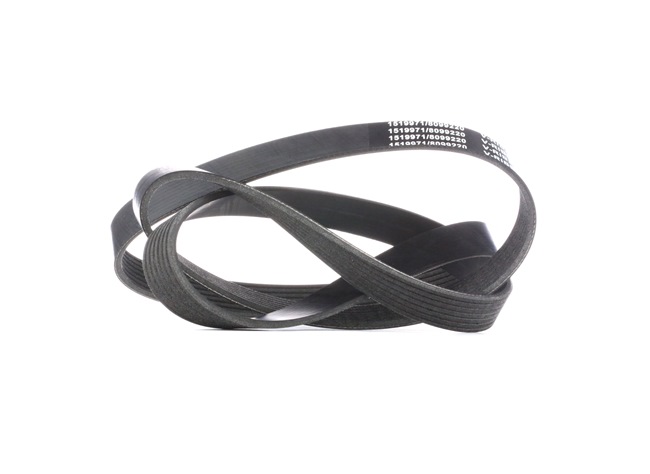 RIDEX 305P0205 Ozubený klinový remeň