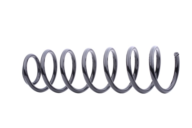 RIDEX 188C0231 Feder Audi A4 B5 1.8 115 PS Benzin Kosten