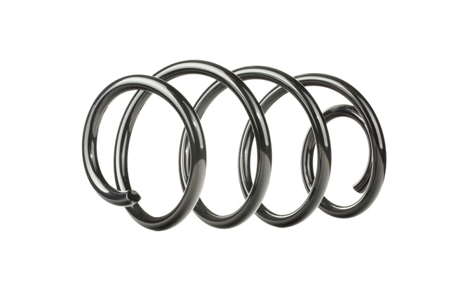 RIDEX 188C0167 Ressort de suspension