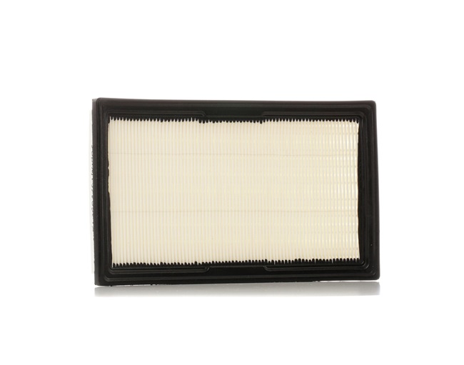 RIDEX 8A0529 Filtre à air