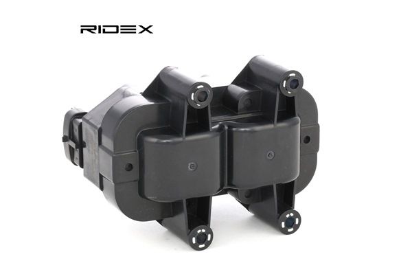Süütepool 689C0125 RIDEX 12 08 076 OPEL