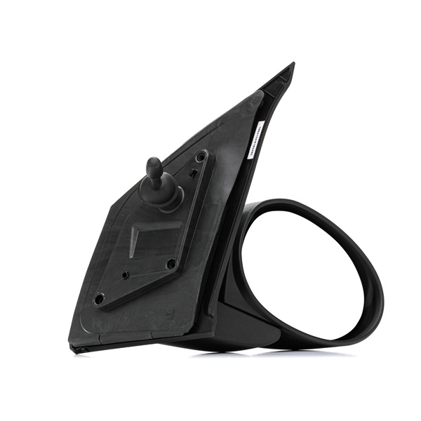 RIDEX 50O0031 Außenspiegel