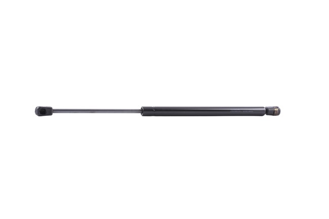 RIDEX Gasveer achterklep 219G0291 219G0291 Gasveer kofferruimte SUZUKI SWIFT RIDEX