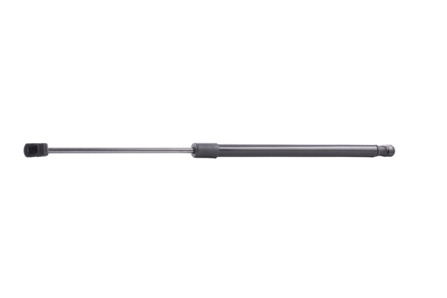 RIDEX 219G0132 Gasveer achterklep