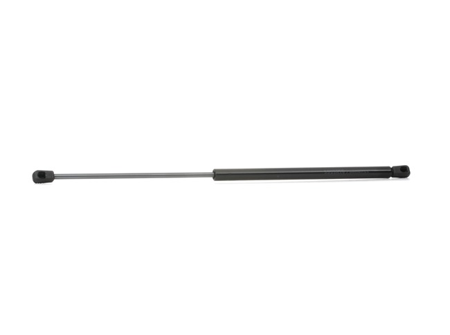 Bagklapsdæmper 219G0302 RIDEX 6 723 079 FORD