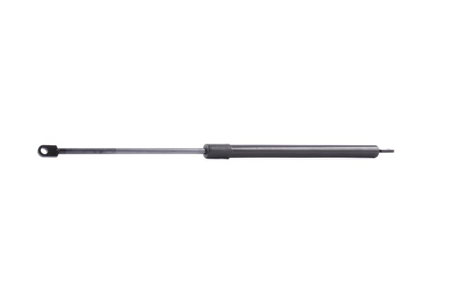 Vérin de coffre 219G0385 RIDEX 8 103 180 BMW