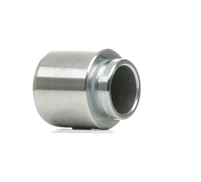RIDEX 2248P0008 Kolben, Bremssattel Delica 2.0 (PA3V) 113 PS Benzin Kosten