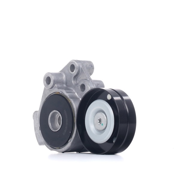 RIDEX Βραχίονας σύσφιγξης Volkswagen 541V0002