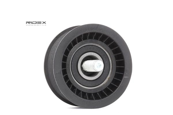 Spanpoelie FORD RIDEX 310T0089