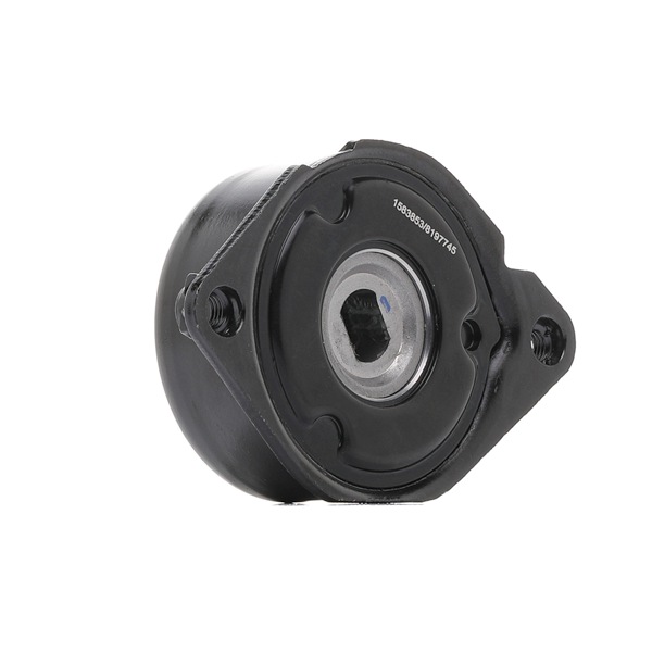 Spannrolle, Keilrippenriemen 310T0196 RIDEX 64 55 2 354 037 Spannarm, Keilrippenriemen 310T0196 RIDEX 64 55 2 354 037 BMW